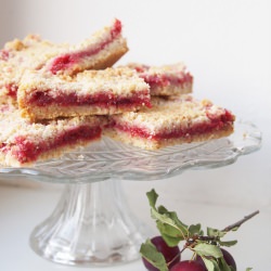 Linzer Bars with Wild Plum Filling