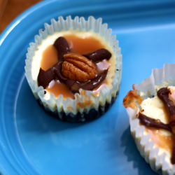 Mini Turtle Cheesecake