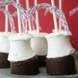 Hot Chocolate on a Stick