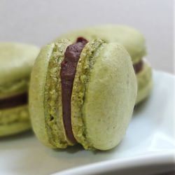 Matcha Macarons