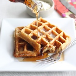 Honey Yogurt Waffles