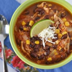Chicken Enchilada Soup