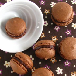 Chocolate Macarons