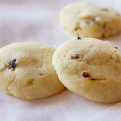 Lavender Dream Biscuits
