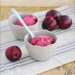 Chocolate, Cinnamon & Plum Ice Cream