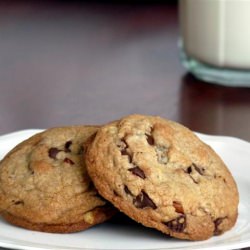 Review – CIs Choc Chip Cookies
