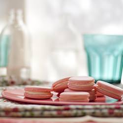 Vanilla Macarons