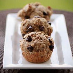 Chocolate Chip Sour Cream Muffins