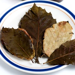 Slow Food Tamalada