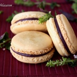 French Macaron