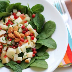 Cheese, Apple & Spinach Salad