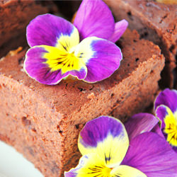 Chocolate Cake w/ Bananas