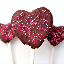 Chocolate Raspberry Marshmallow