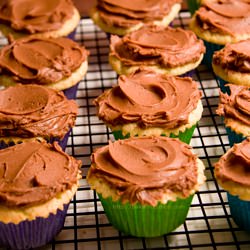 Vanilla Cupcakes with Chocolate