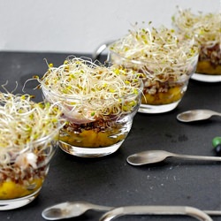 Quinoa Mango and Shrimps Verrines