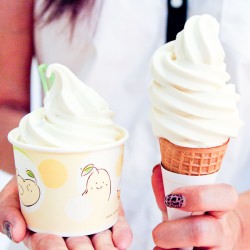 Soy Ice Cream!
