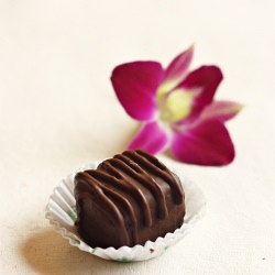 Chocolate Truffles