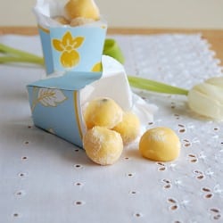 White Chocolate Passion Fruit Truffles
