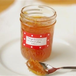 Meyer Lemon Marmalade