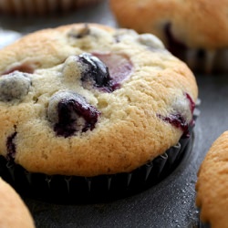 Blueberry Muffins