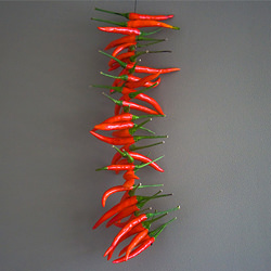 Make & Do: Chilli Strings
