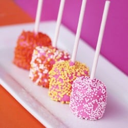 Chocolate Covered Marshmallow Pops