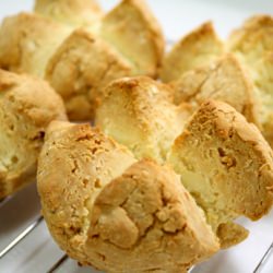 Soda Buns