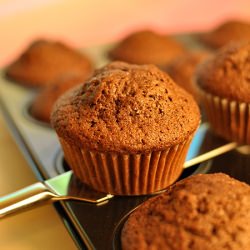 Cocoa Muffins
