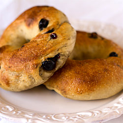 Blueberry Bagels