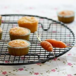 Petit Carrot Muffins