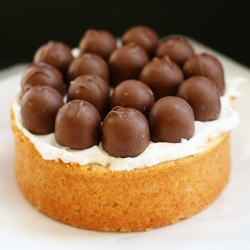 Chocolate Covered Cherry Cake