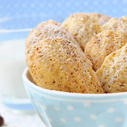 Hazelnut and Chocolate Madeleines