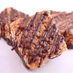 Homemade Samoas Bars
