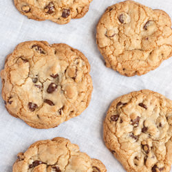 Giant Chewy Chocolate Chip Cookies