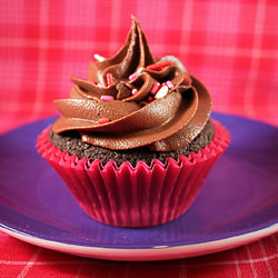 Double Chocolate Cupcakes