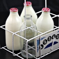 Making Yogurt