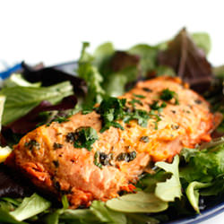 How to Microwave Salmon Recipe