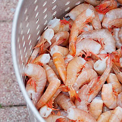 Foodways Texas Gulf Coast Gathering