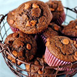 Chocolate PB Muffins