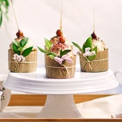 Best Vegan Cupcakes