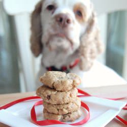 Puppy Treats