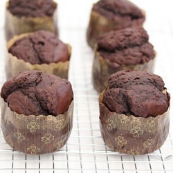 Chocolate Muffins