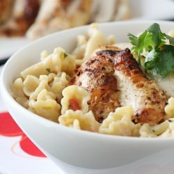 Mexi-Chicken Campanelle Dinner