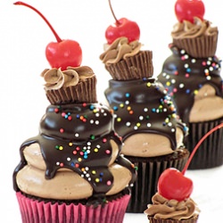 Peanut Butter and Chocolate Cupcake