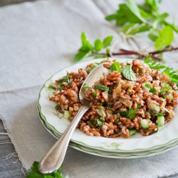 Red Rice Salad