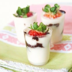 Strawberry & Chocolate Panna Cotta