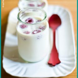 Vanilla & Raspberry Panna Cotta