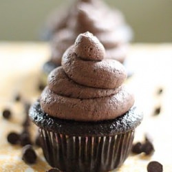 Chocolate Cupcakes