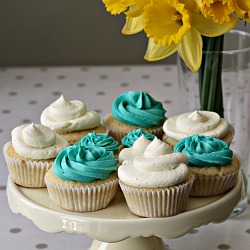 Vanilla Cupcakes