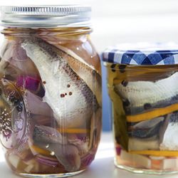 Swedish Pickled Herring